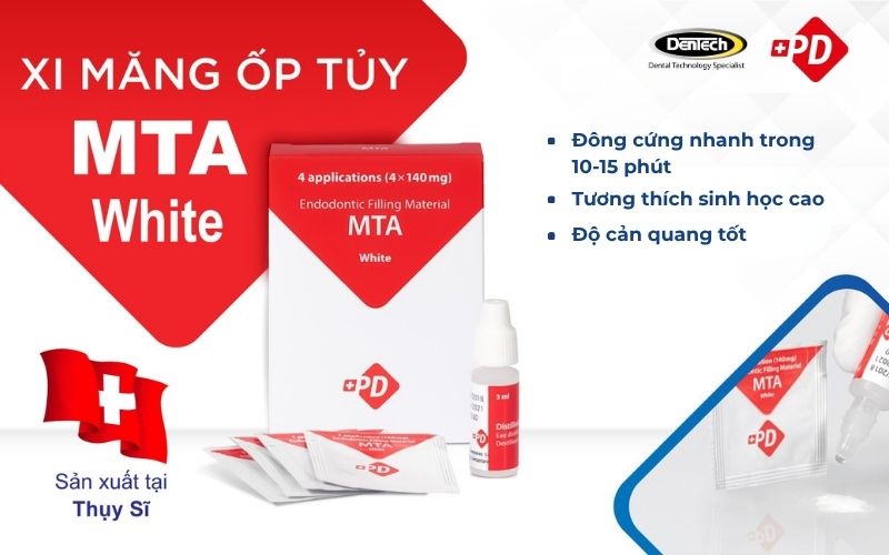 Xi măng nội nha PD MTA White